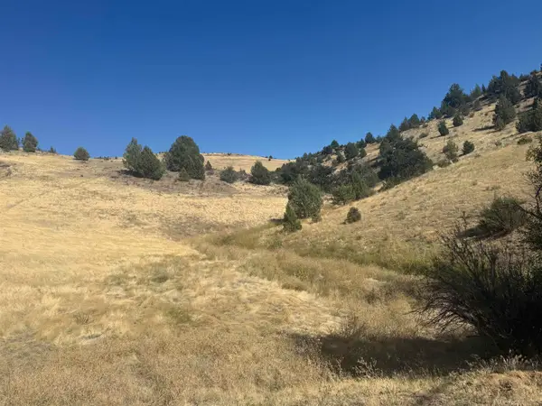 Lot 164 Shasta Lane, Hornbrook, CA 96044
