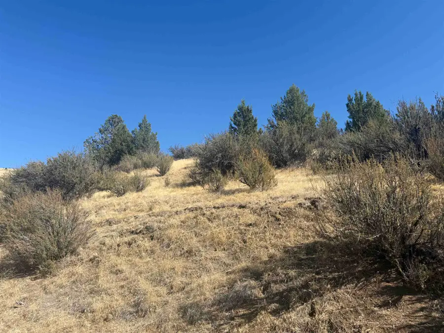 Lot 164 Shasta Lane, Hornbrook, CA 96044 - Image #2