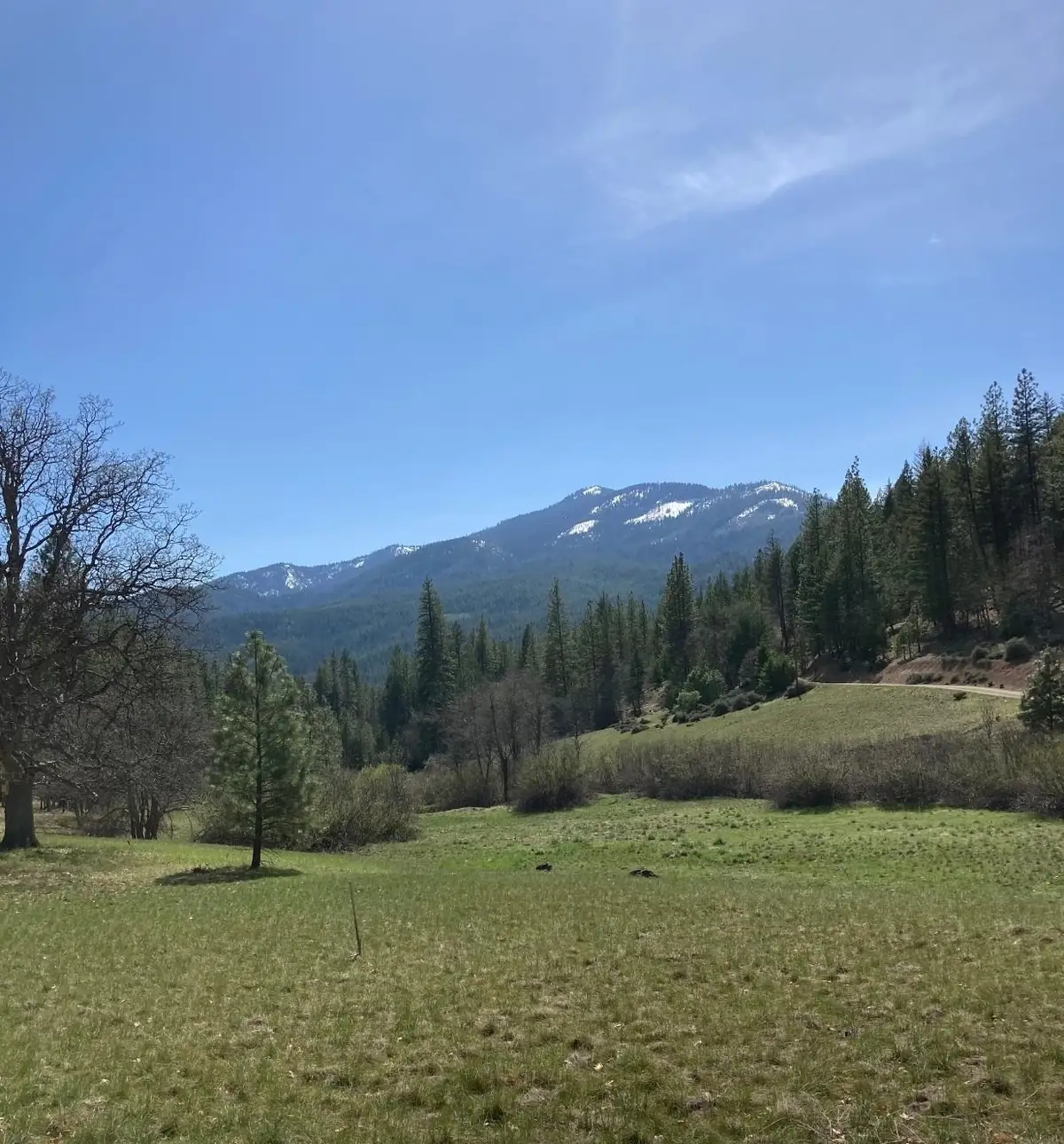 0 Ashley Ln., Fort Jones, CA 96032 - Image #1