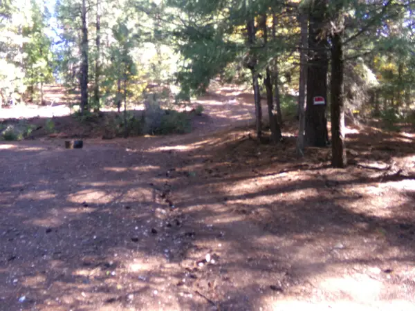 TCZ McAdams Ck Rd, Fort Jones, CA 96032