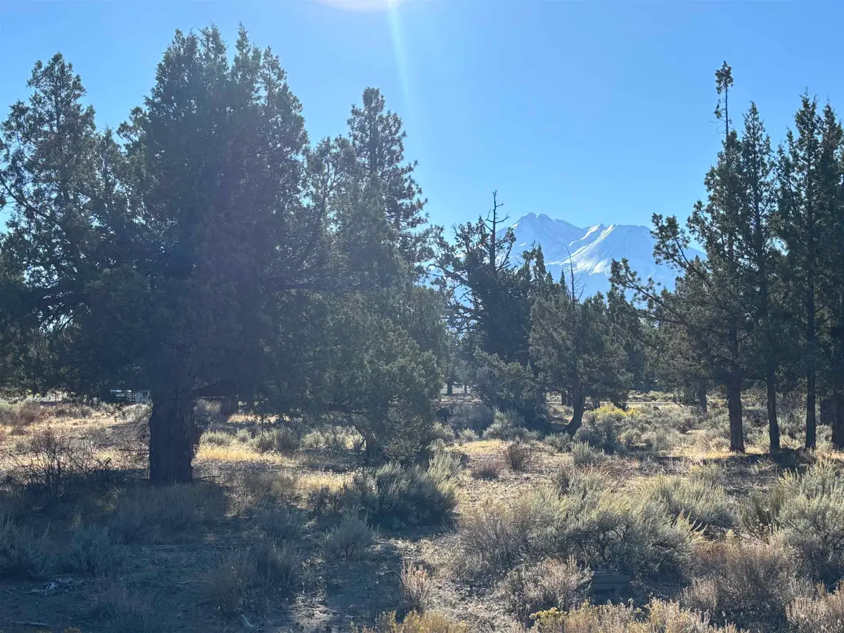 Unit 8-2 Lot 145- Sherwood Rd, Weed, CA 96094 - Image #1