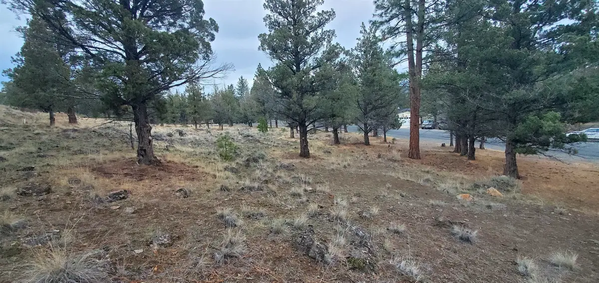 Unit 1 Lot 16 Lake Shore Dr., Weed, CA 96094 - Image #1