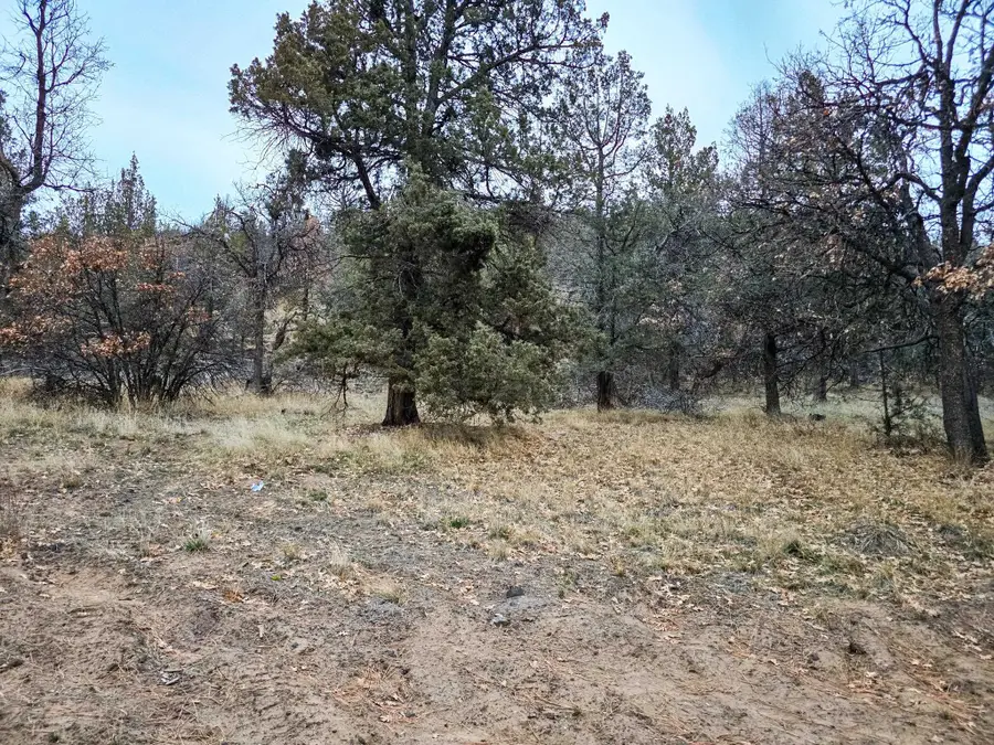 Log House Road, Macdoel, CA 96058 - Image #3