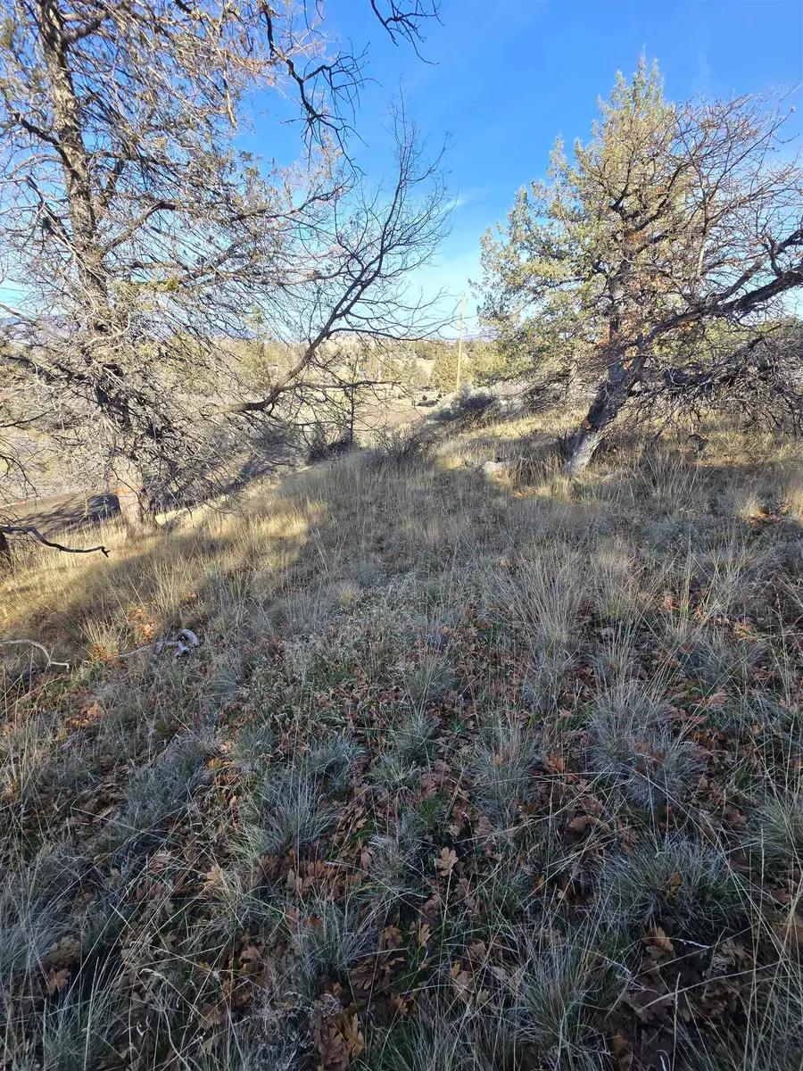 Quail Drive, Hornbrook, CA 96044 - Image #2