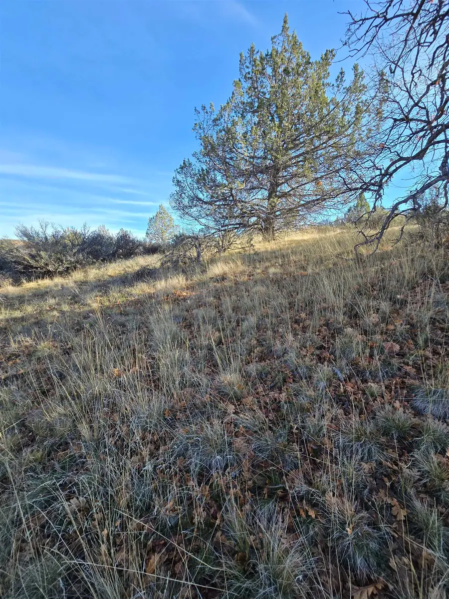 Quail Drive, Hornbrook, CA 96044 - Image #3