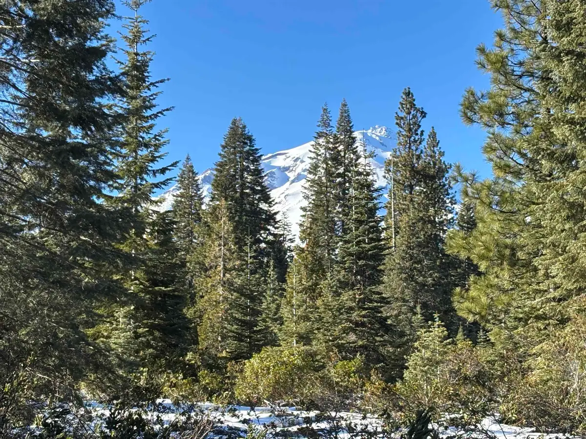 4-E-19 Ridge Drive, McCloud, CA 96057 - Image #1