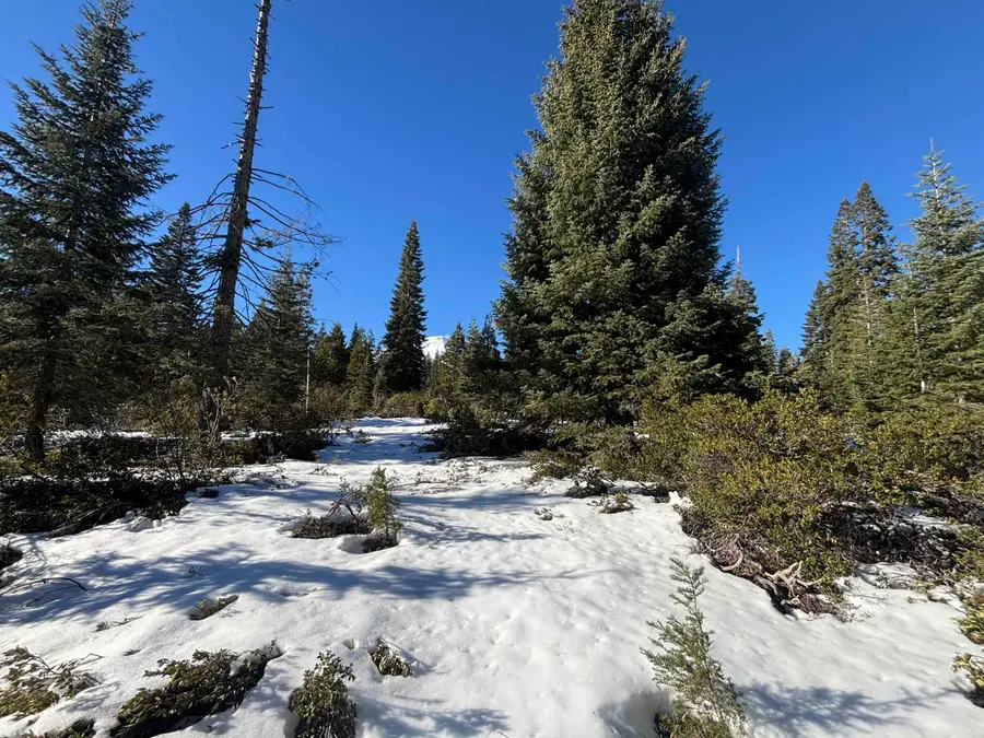 4-E-19 Ridge Drive, McCloud, CA 96057 - Image #2