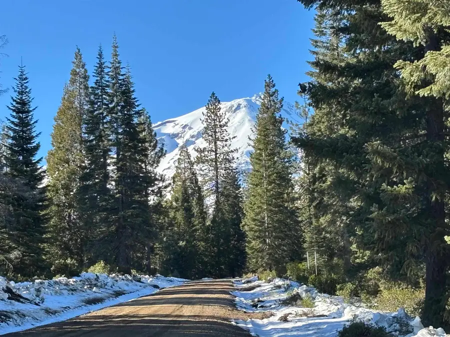 4-E-19 Ridge Drive, McCloud, CA 96057 - Image #3