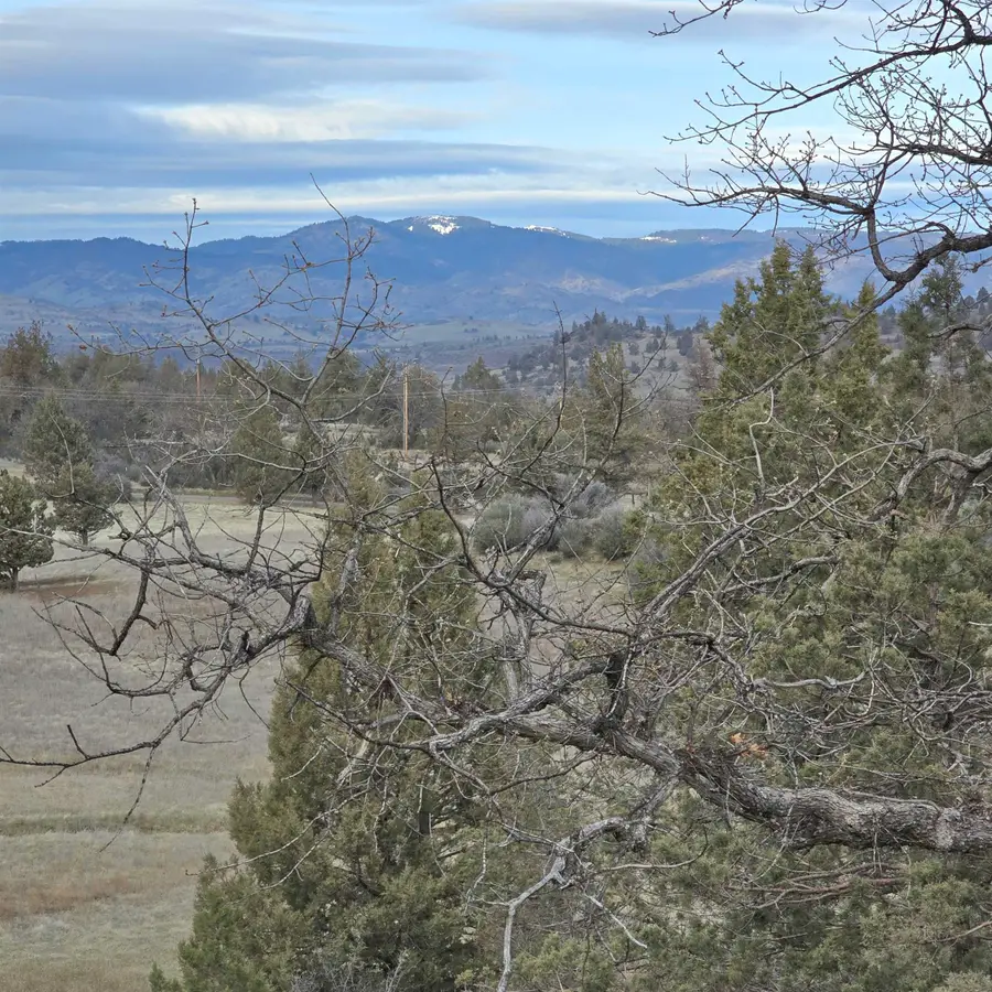 730,731 Grouse Way, Hornbrook, CA 96044 - #2