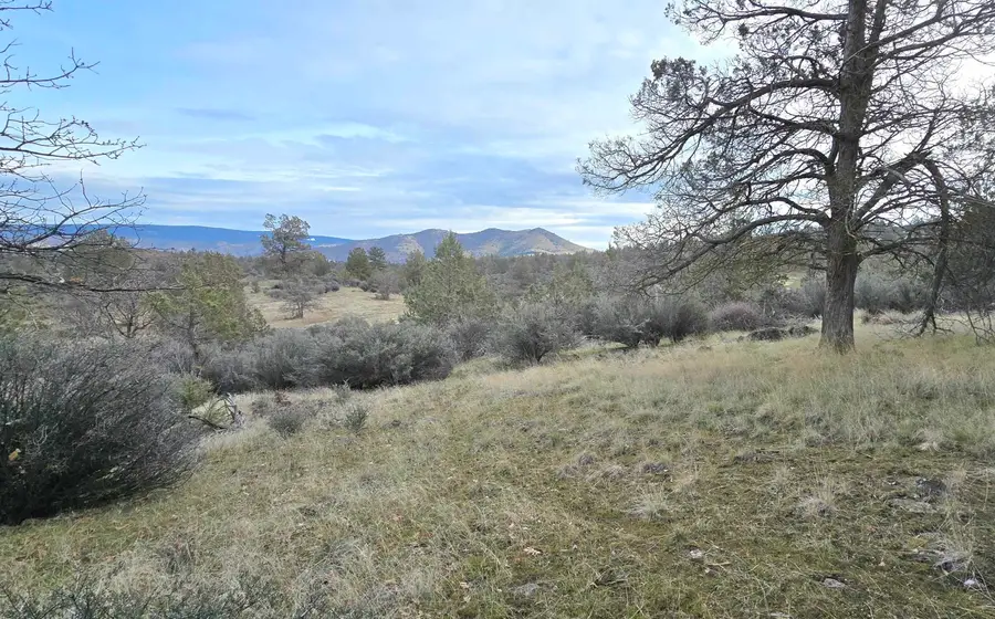 730,731 Grouse Way, Hornbrook, CA 96044 - #3