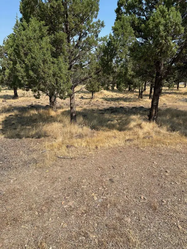 Lot 76 Stone Crest Drive, Weed, CA 96094
