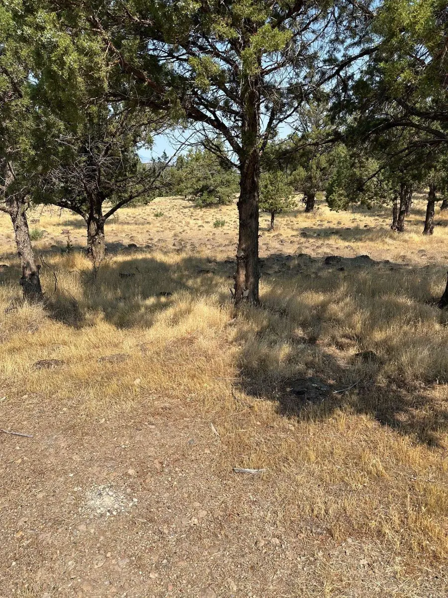 Lot 76 Stone Crest Drive, Weed, CA 96094 - Image #2