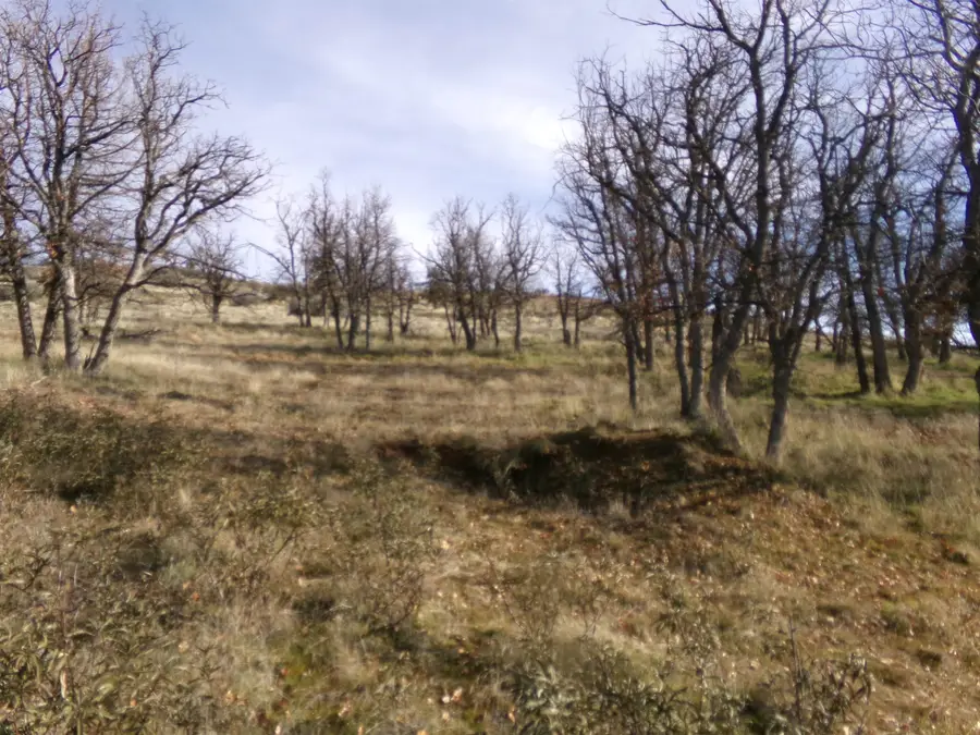 XOX Greenhorn Rd, Yreka, CA 96034 - Image #3