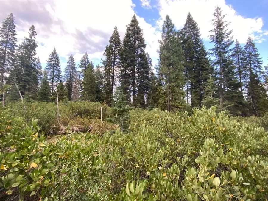 3-F-9 Silverthorn Ct, McCloud, CA 96057 - Image #3