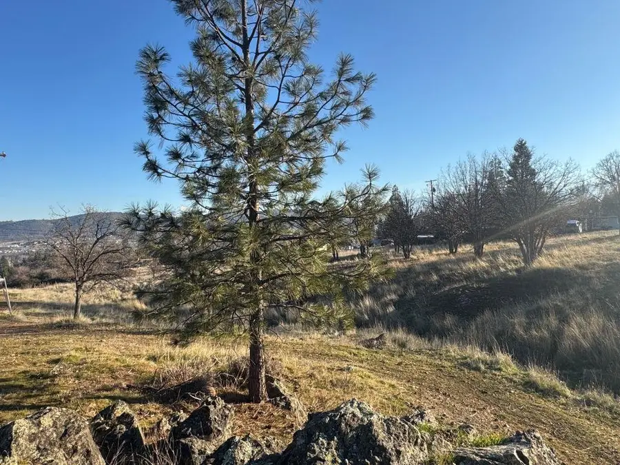 Discovery Street, Yreka, CA 96097 - Image #3