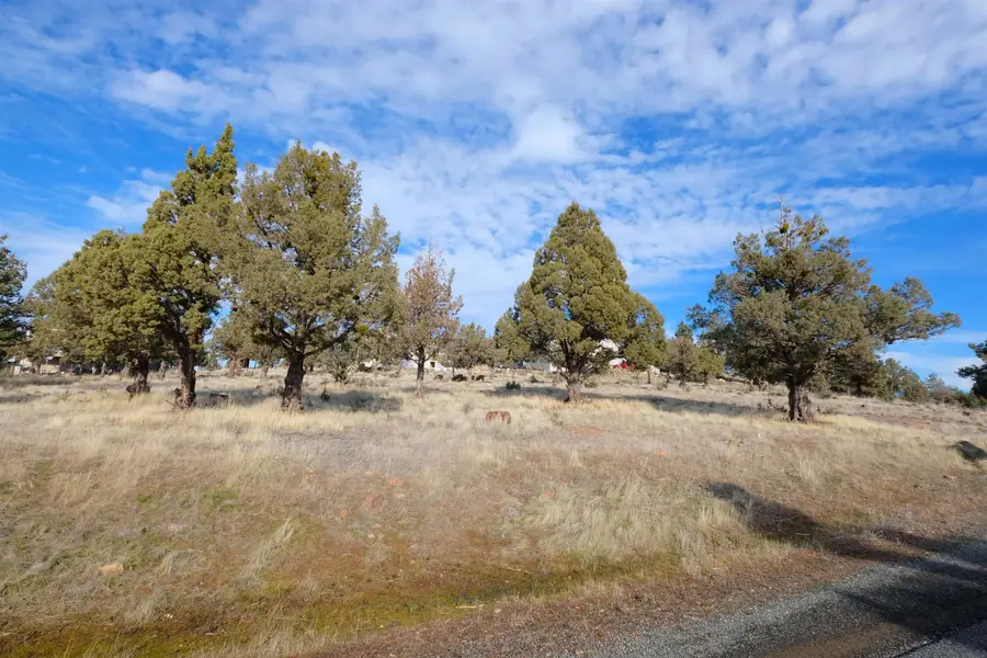 Lake Shastina Drive, Weed, CA 96094 - Image #2