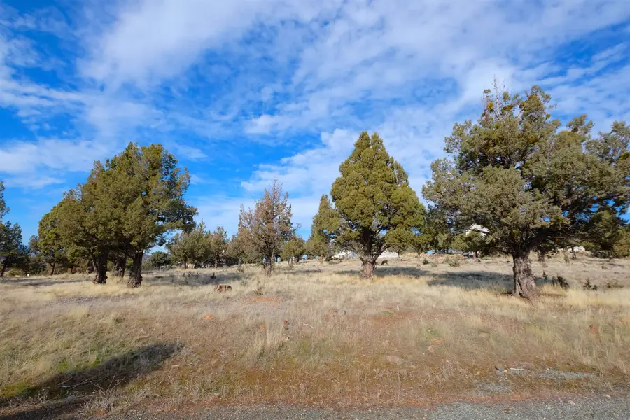 Lake Shastina Drive, Weed, CA 96094 - Image #3