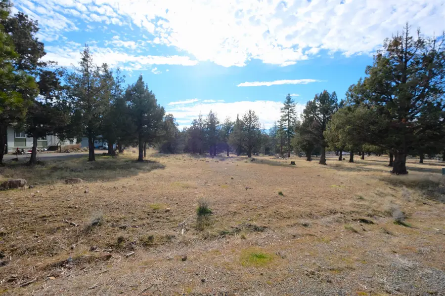 Harbor View Drive, Weed, CA 96094 - Image #2