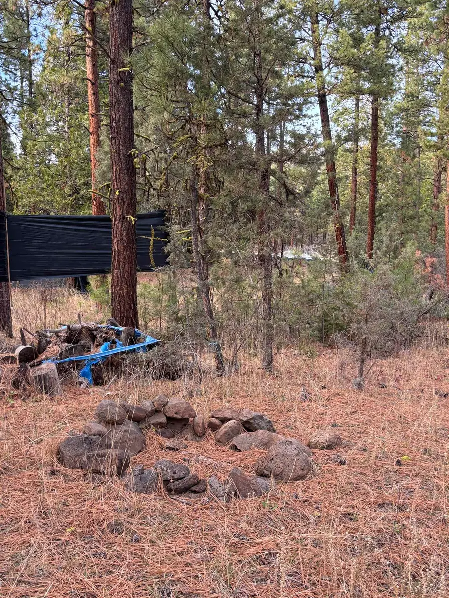 no address, Dorris, CA 96023 - Image #3