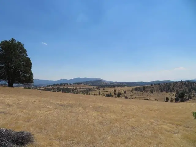 Lot 185 Iron Gate Rd, Hornbrook, CA 96044 - Image #2