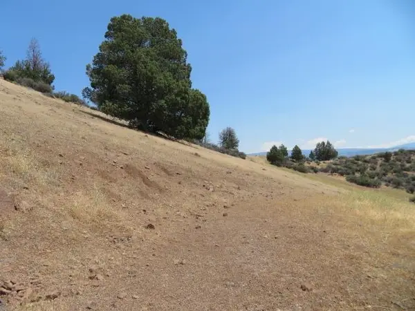 Lot 527 Blue Gill Dr, Hornbrook, CA 96044