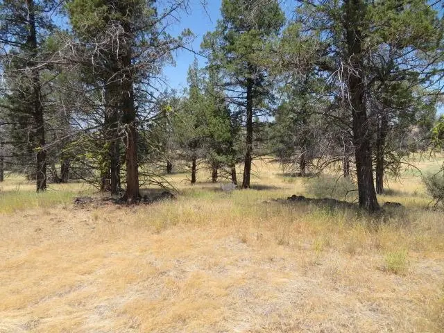 Lot 630 Whitepine St, Hornbrook, CA 96044 - Image #2