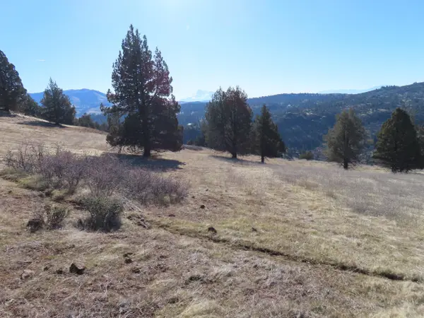 Lot 474 Erick Ln, Hornbrook, CA 96044