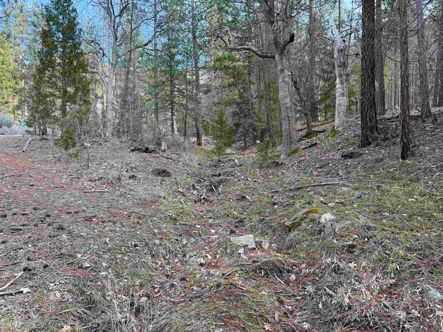 000 Moffet Creek, Fort Jones, CA 96032 - #3