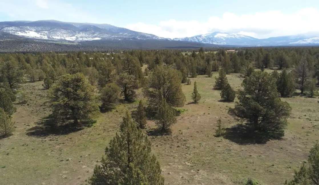 Lot 2 Frontier Dr, Montague, CA 96064 - #1