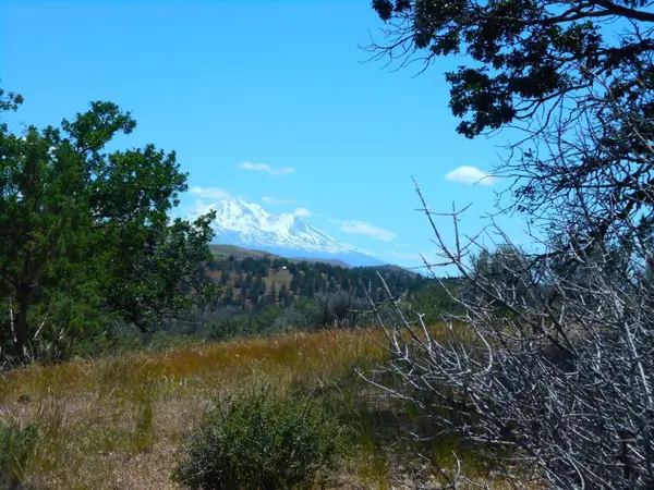 Erick Lane 2.5 acres, Montague, CA 96064