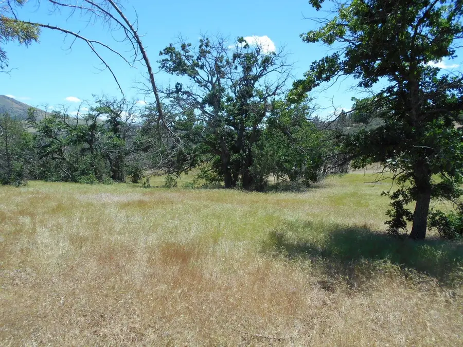 Erick Lane 2.5 acres, Montague, CA 96064 - #3