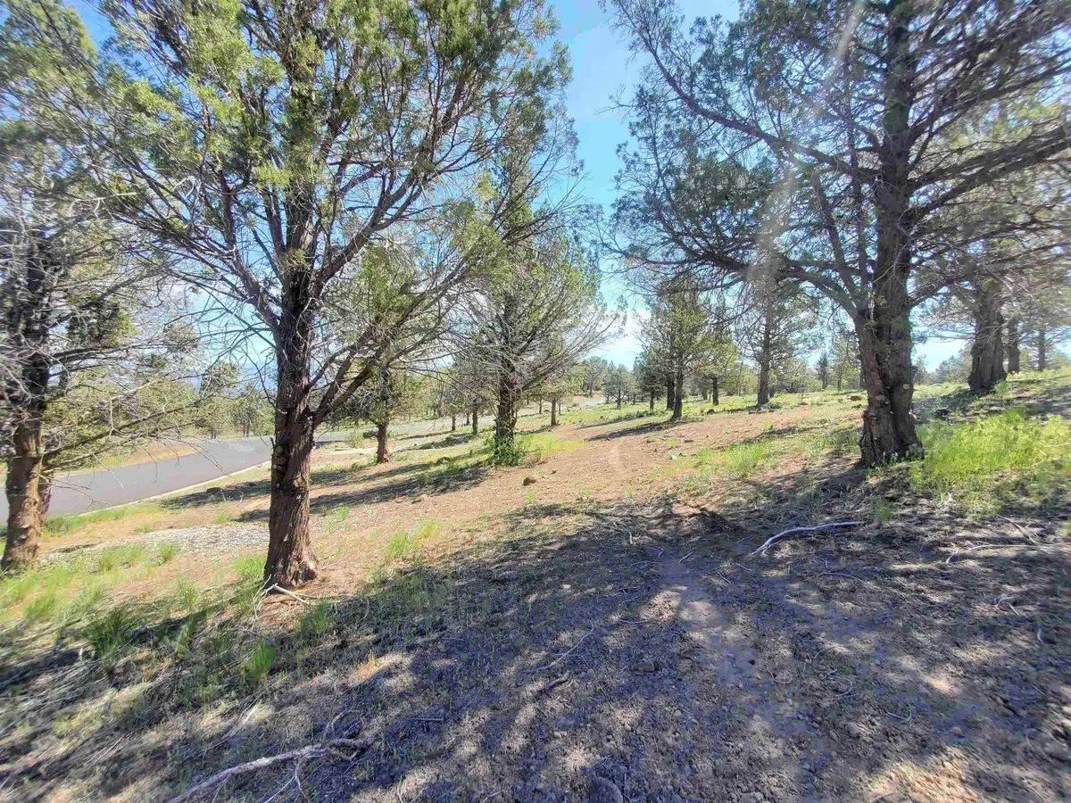 9-2 Lot 266 Golden Hill, Weed, CA 96094 - #1