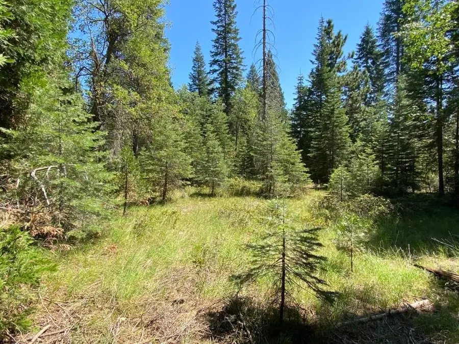 1-B-3 Cascade St, McCloud, CA 96057 - Image #2