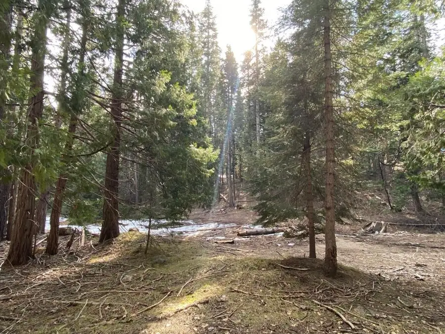 1-C-15 Shastina Cir, McCloud, CA 96057 - Image #2