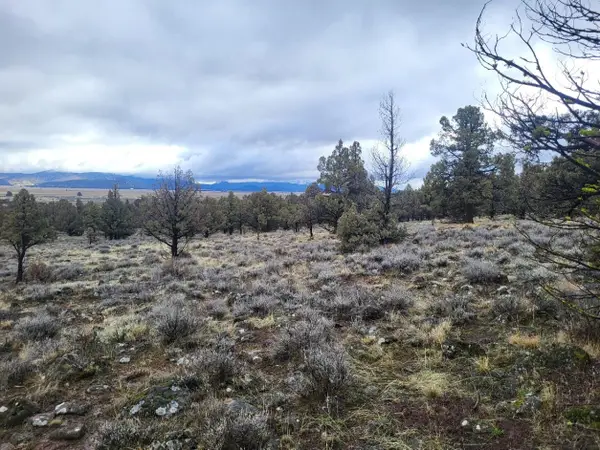 Unit 2 Lot 592 Lazo Ln, Dorris, CA 96023