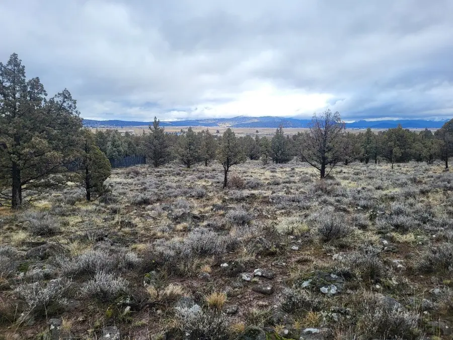 Unit 2 Lot 592 Lazo Ln, Dorris, CA 96023 - #2