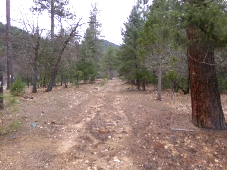 000 College St, Etna, CA 96034 - #2