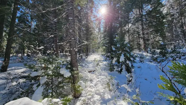 Lot 16 Quail Hill Dr, Mt Shasta, CA 96067