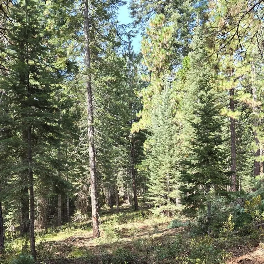 Unit 4 Lot 5 Lakeview Dr., McCloud, CA 96057 - #2
