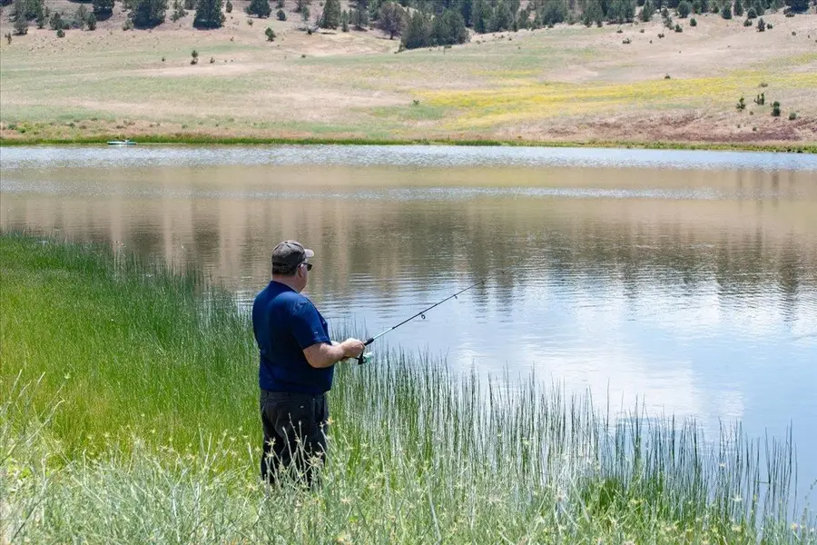 640 Acres Heather Lane, Montague, CA 96064 - #2