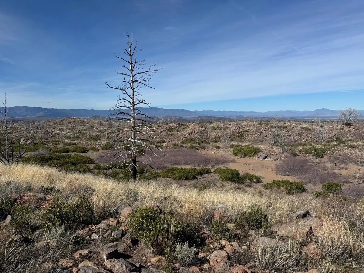 Blk 2 Lot 28 Quarry Road, Weed, CA 96094 - #1