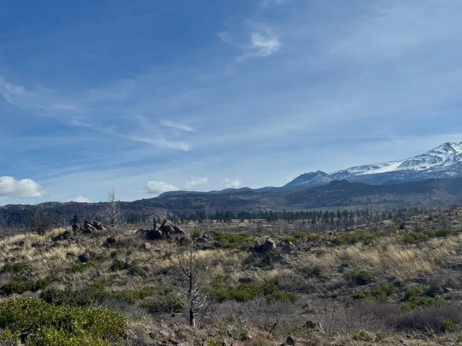 Blk 2 Lot 28 Quarry Road, Weed, CA 96094 - #3