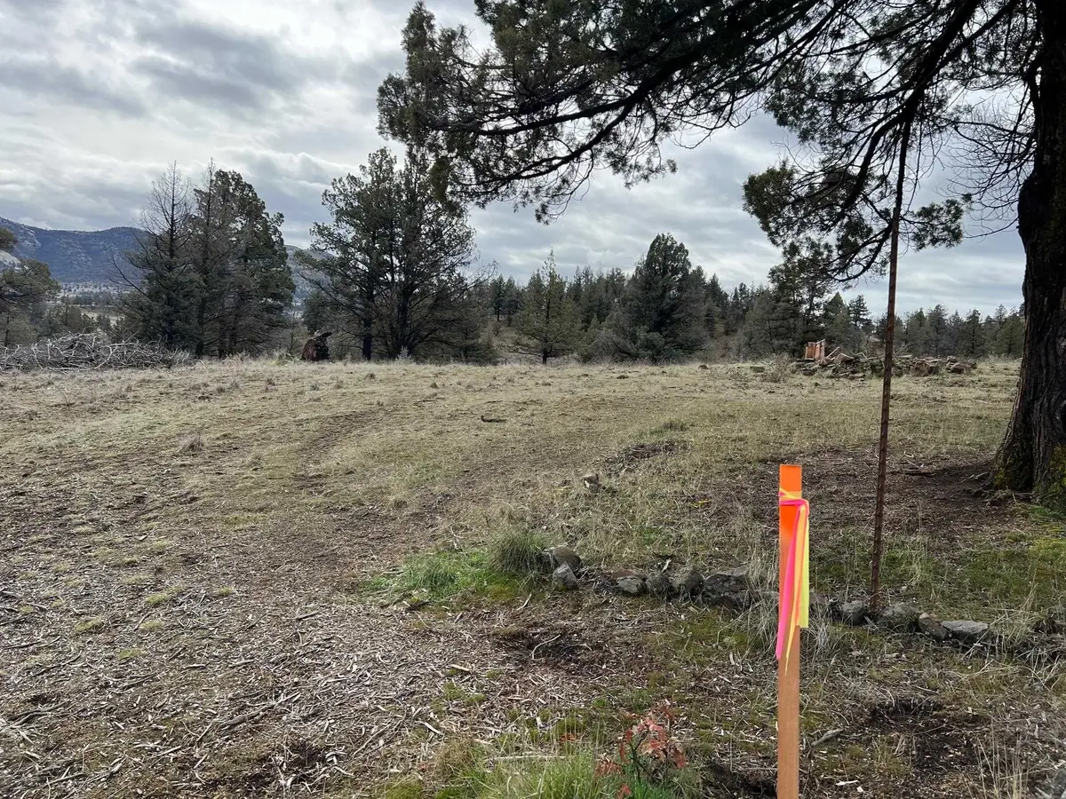 Unit 4 Lot 67 Whitepine, Montague, CA 96064 - #1
