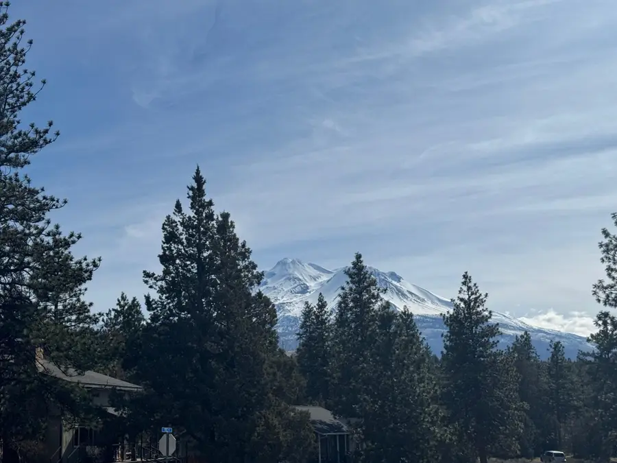 Unit 4 Lot 428 Fairway Dr, Weed, CA 96094 - #2