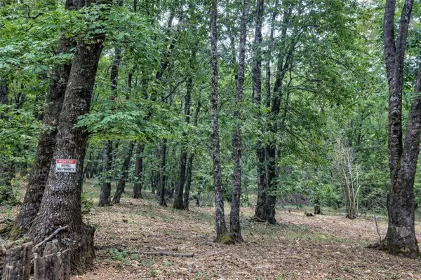 Poplar Court, Weed, CA 96094