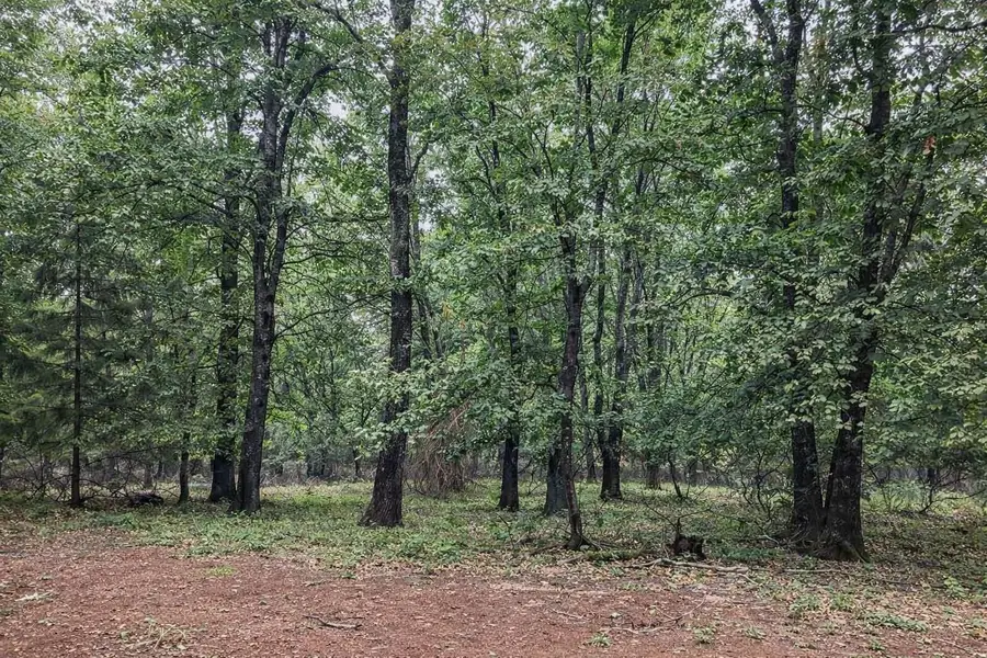 Poplar Court, Weed, CA 96094 - #2