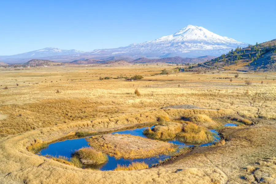 22435 Old Highway 99, Weed, CA 96094 - #3