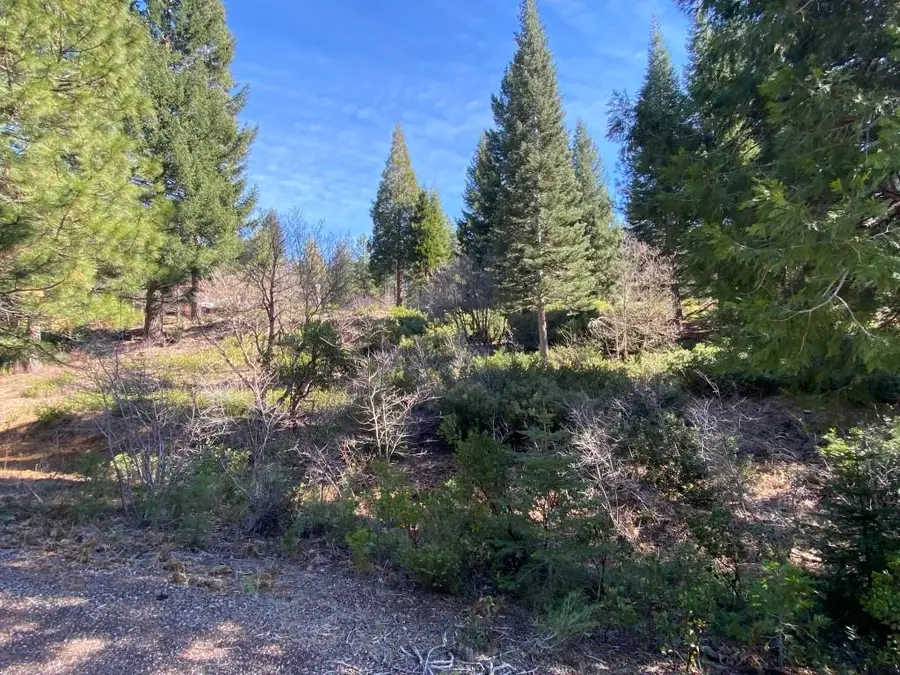 Lot 7 Andrew Ct, Mount Shasta, CA 96067 - #2