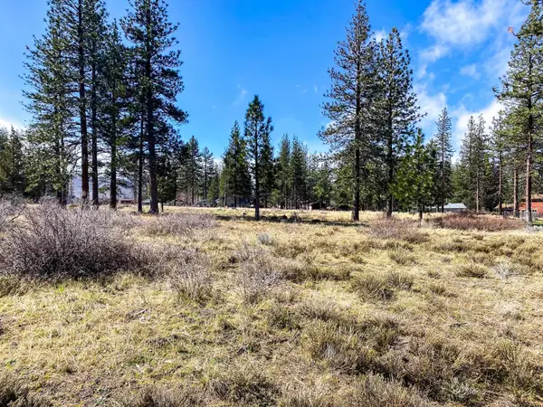 Lot 137 Antelope, Weed, CA 96094