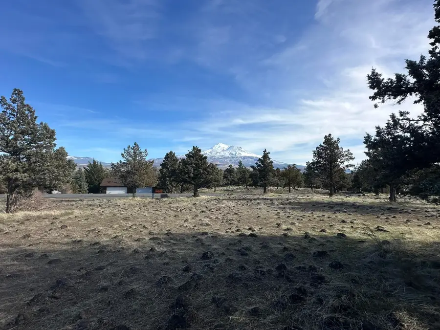 9-2/104 Shoreline Drive, Weed, CA 96094 - #2